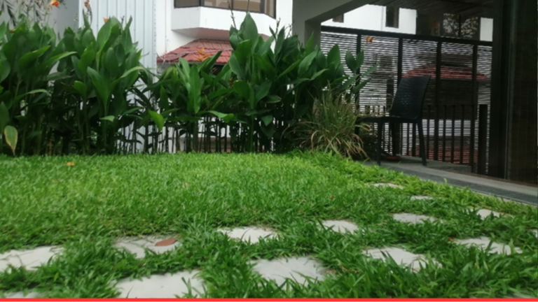 Landscaping and Corten Metal Work, WFP Country Directors office, Dhaka
