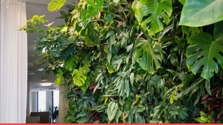Vertical Gardening